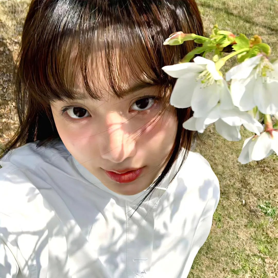 处女塔 封面